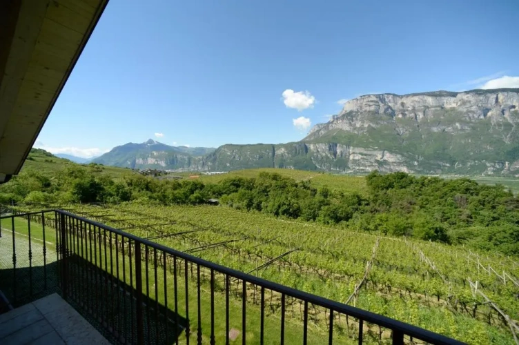 Standard Double room with mountain view