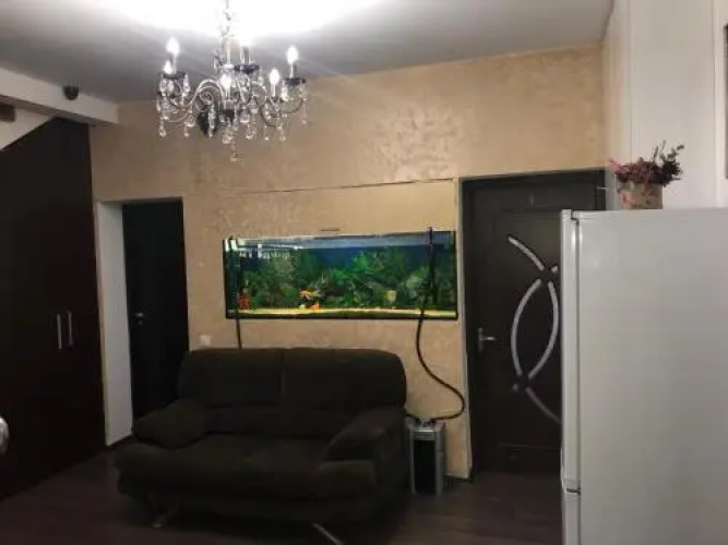 Bucharest Center Villa