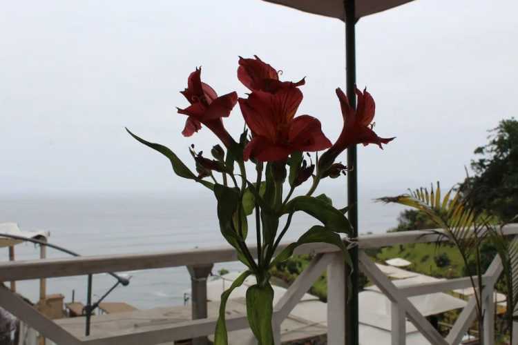 La Condesa de Barranco