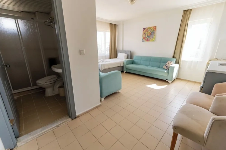 Classic Apartment