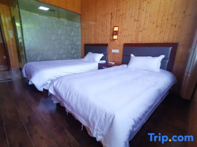 Standard Twin room with mountain view