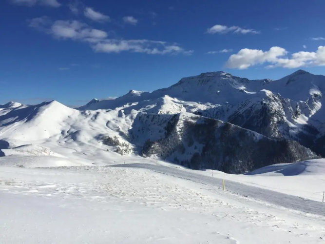 Plein Sud
