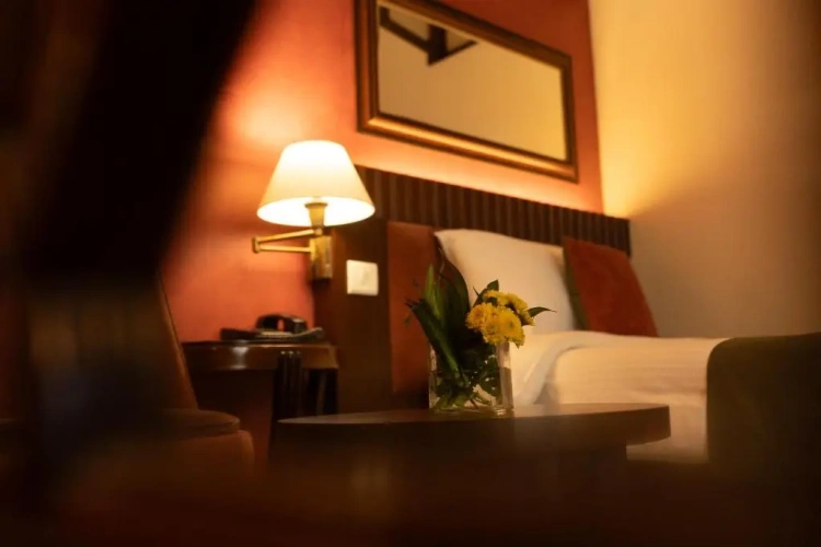Standard Double room with balcony and with view