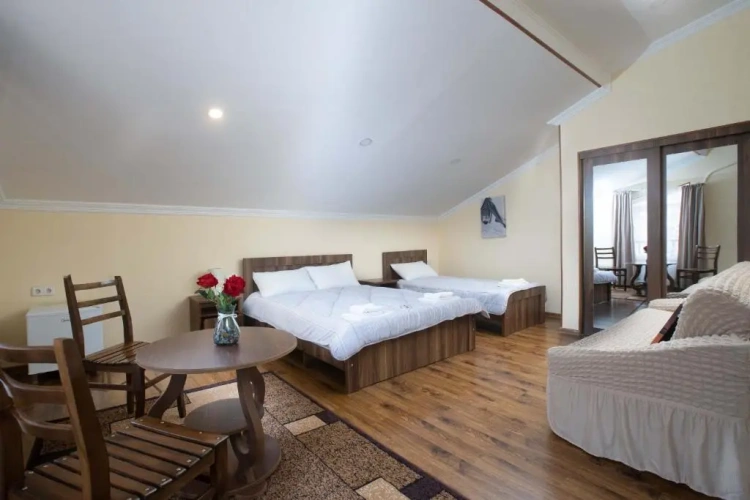 Standard Triple room with city view
