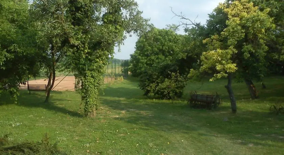 Borostyánkert Étterem & Vendégház