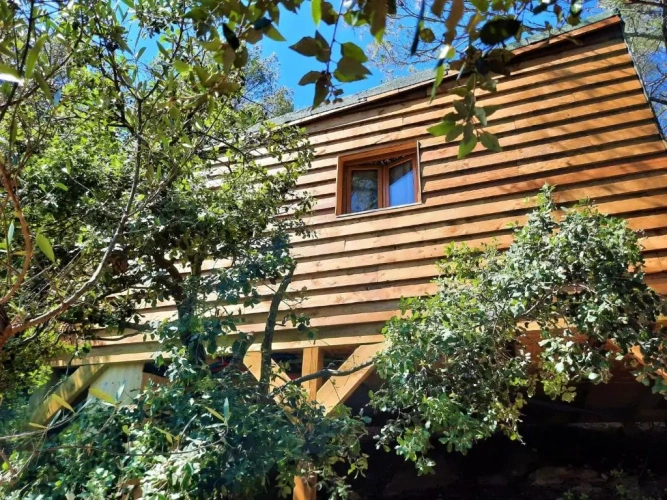 1 Bedroom Chalet