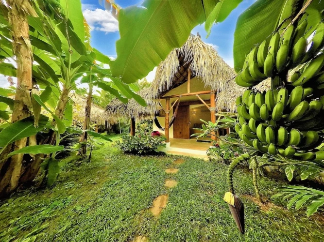 Standard Double room with garden view