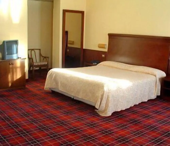 Standard Double room with lake view