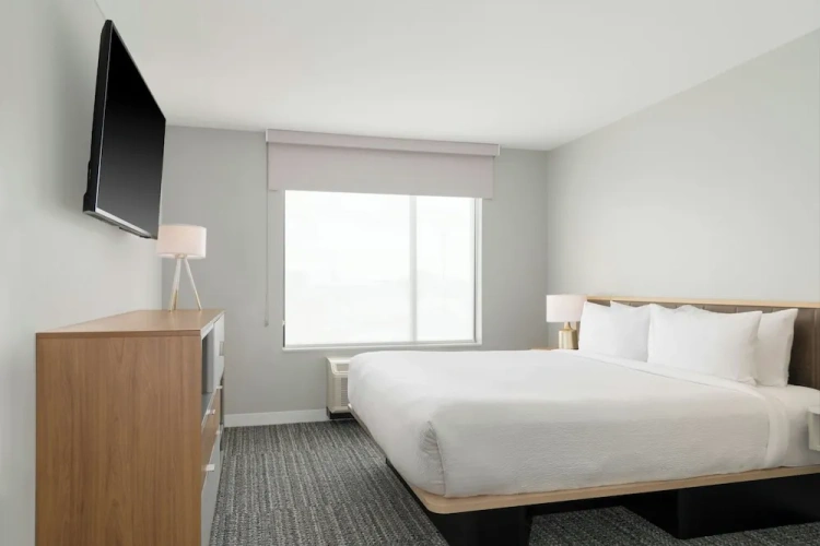 1 Bedroom Suite