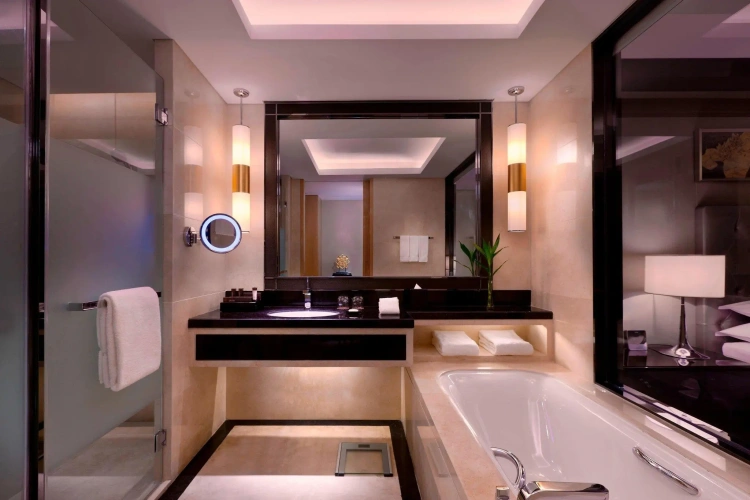 Standard Double Club room with city view