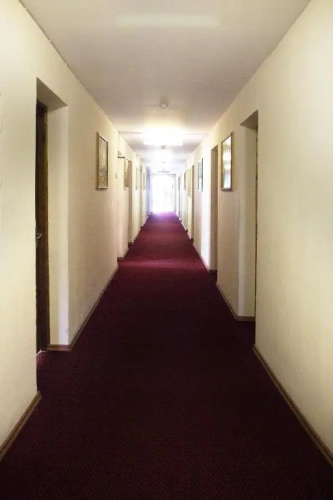 Dzukija Hotel