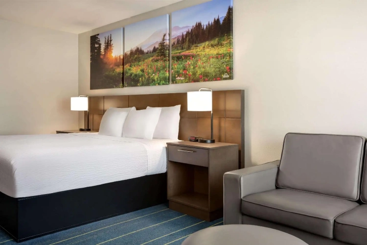 Standard Double room