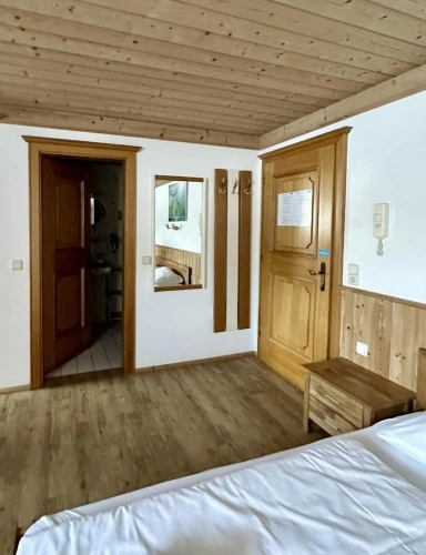 Comfort Double Studio with balcony and with mountain view