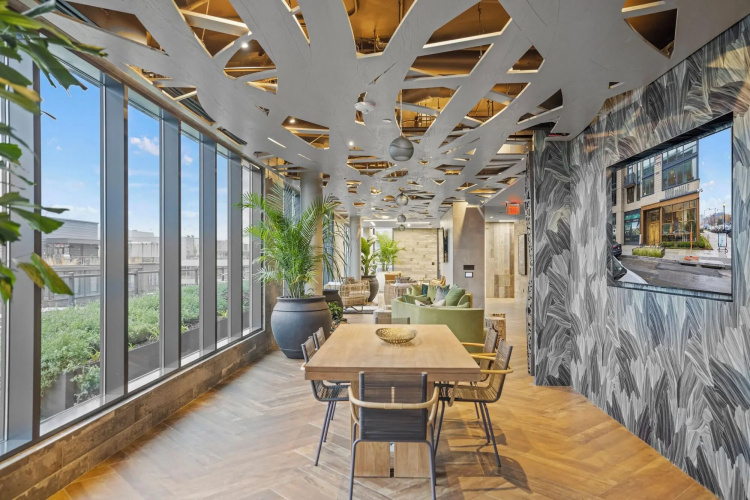 Coda On Half A Placemakr Experience photo 27