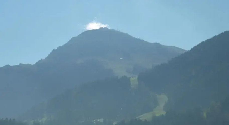 Salvenblick