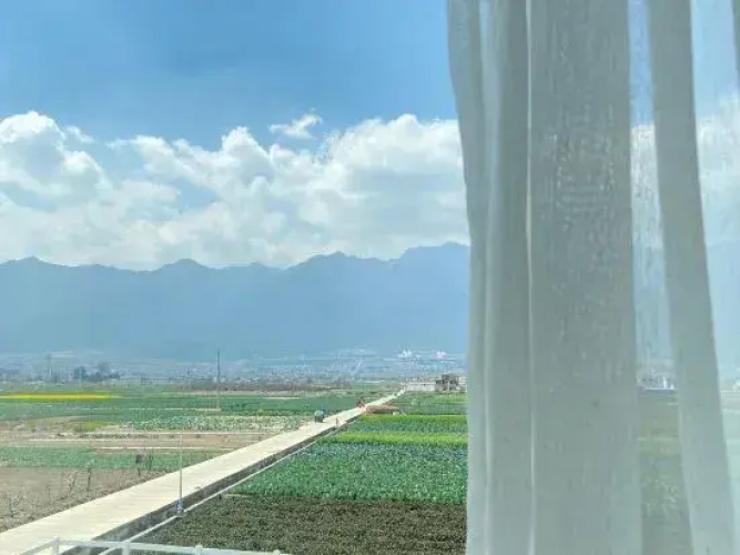Cloud & Mountain Guesthouse