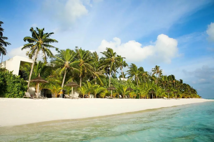 Riu Palace Maldivas photo 20