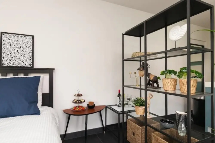 Luxurious Loft Apartment