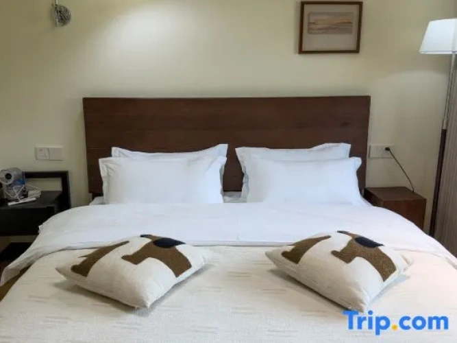 Standard Double room with mountain view