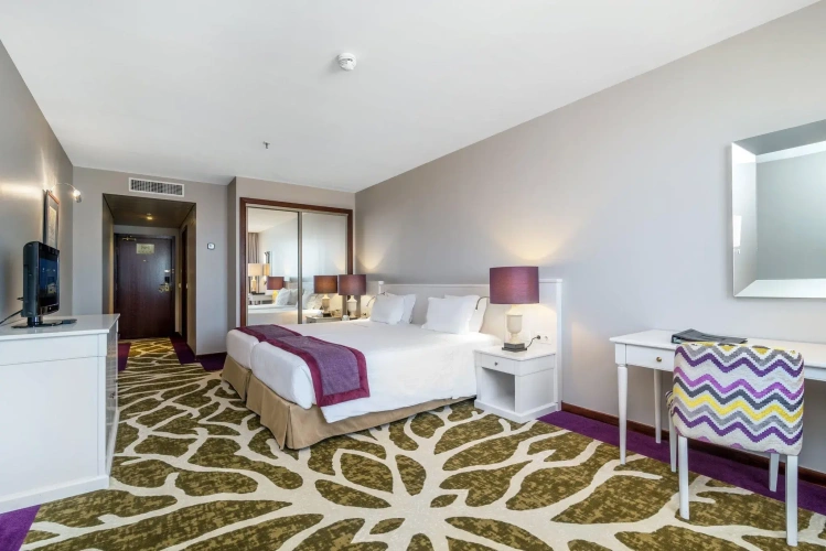 Standard Twin room with river view