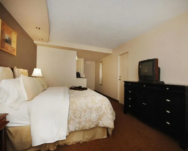 Deluxe Suite
