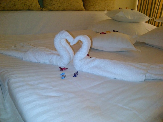 1 Bedroom Suite