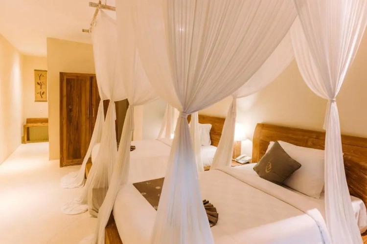 Premier Deluxe Twin room
