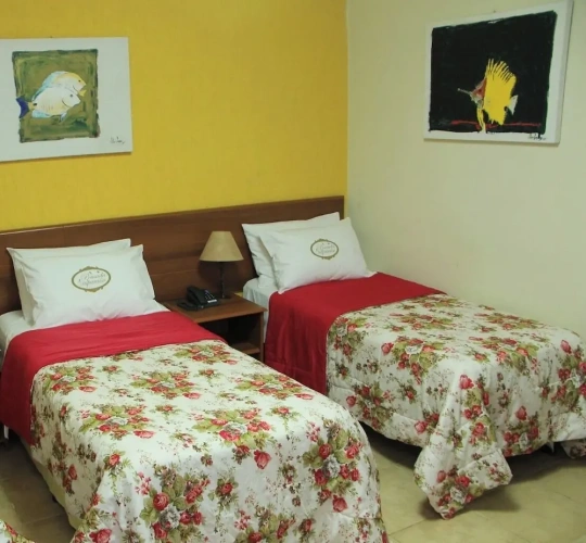 Superior Twin room