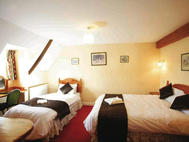 Standard Single room