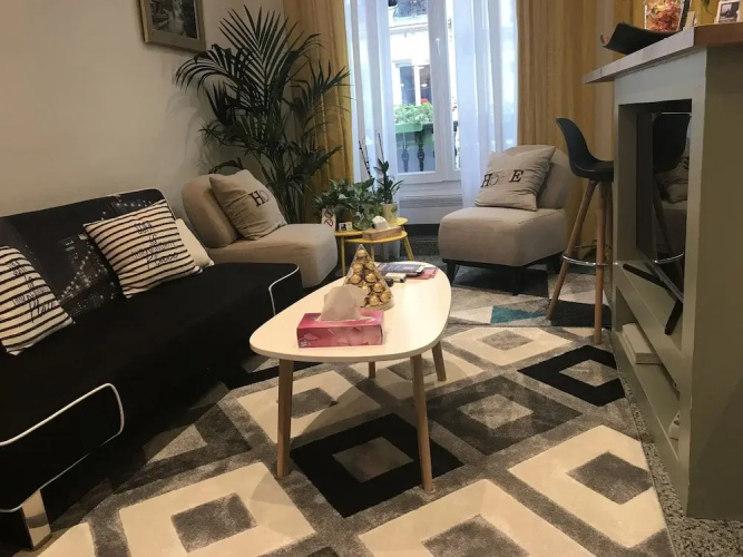 Paris City Flat