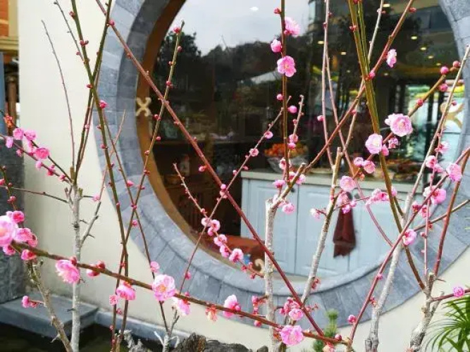 Dongshan No.92 Hot Spring Courtyard