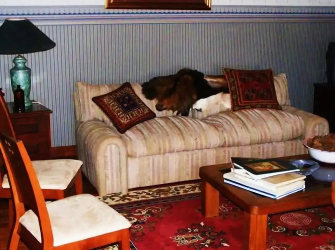 Casa de la Oma