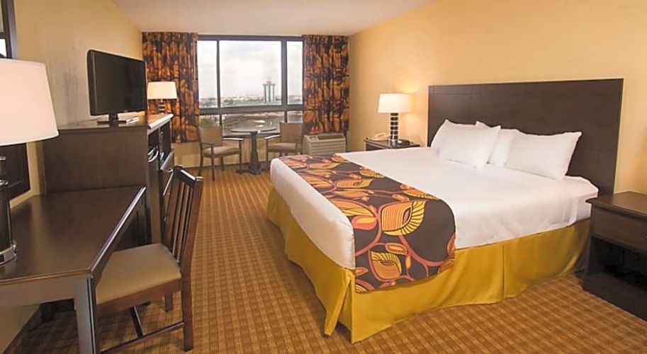 Luxury Accessible Double Suite with city view