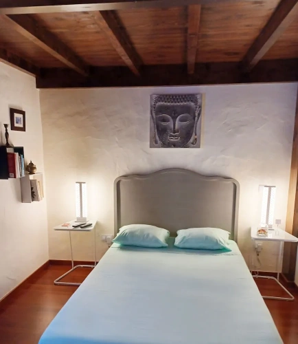 Classic room with balcony and with mountain view