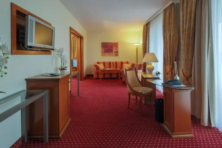 Deluxe Single Suite with balcony and with view