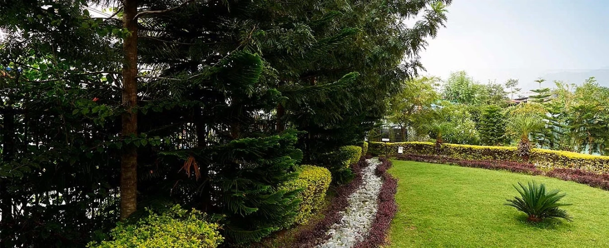 Outside
