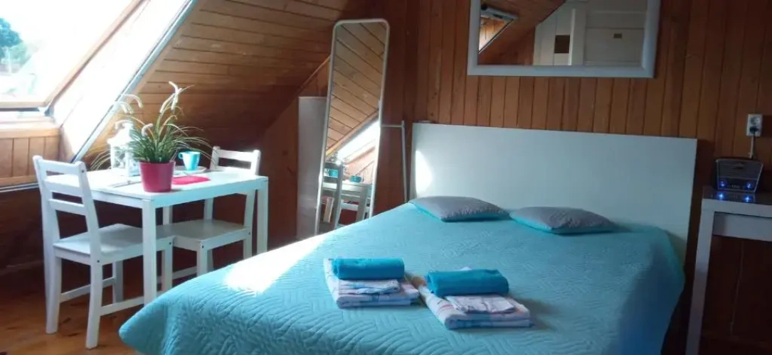 Standard Double room with lake view