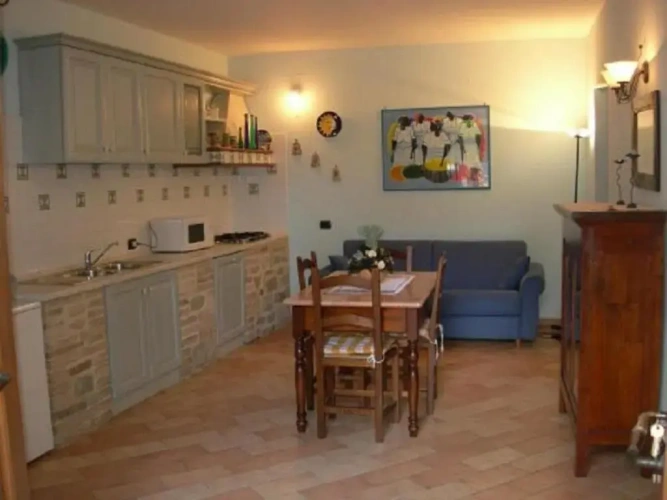 Basement Apartment