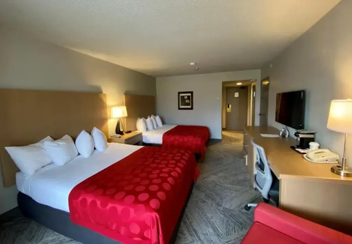 Standard Quadruple room beachfront