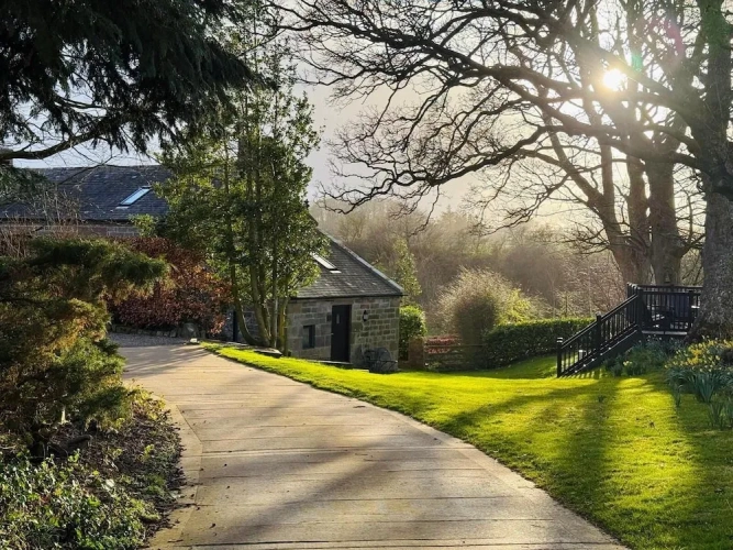 Premium Cottage
