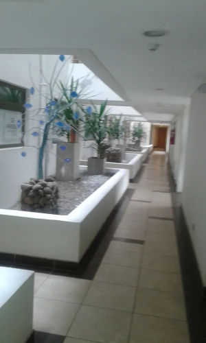 Departamento Reñaca Park