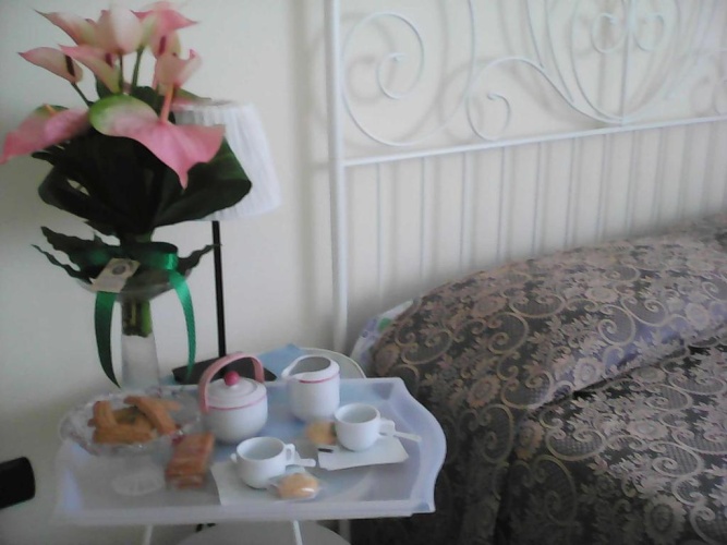 Deluxe room with balcony and with view
