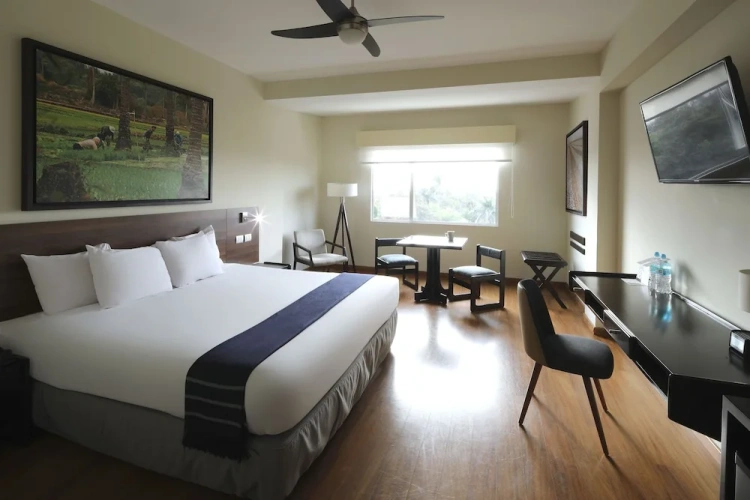 Double Junior Suite