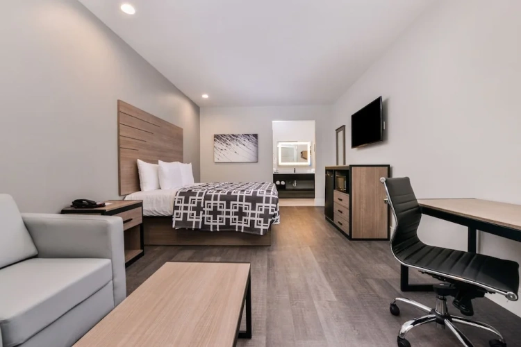 Standard Double Suite