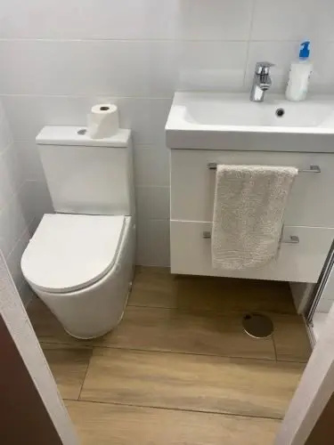 Twins House