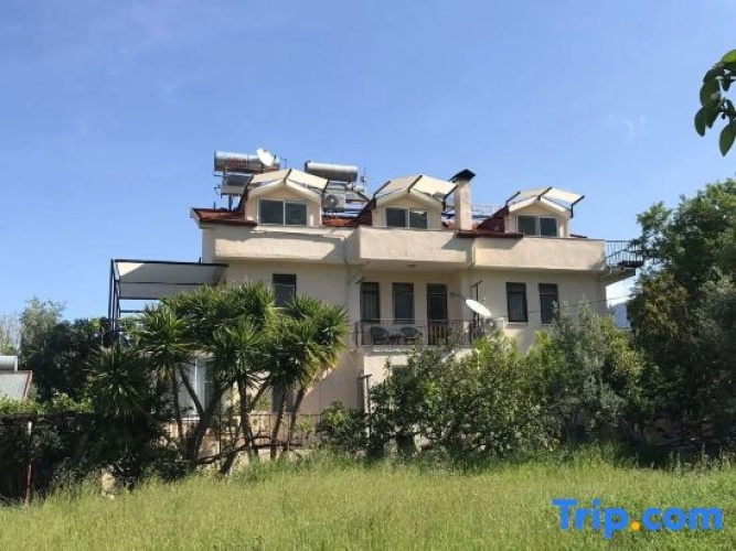 The Tulip House