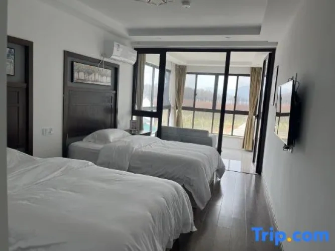 Standard Double room with lake view
