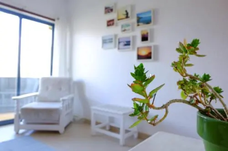 Algarve Surf Hostel - Lagos