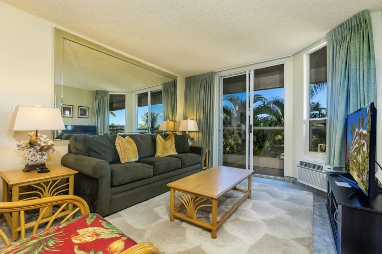 1 Bedroom Suite