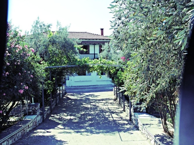 Standard Twin room with garden view